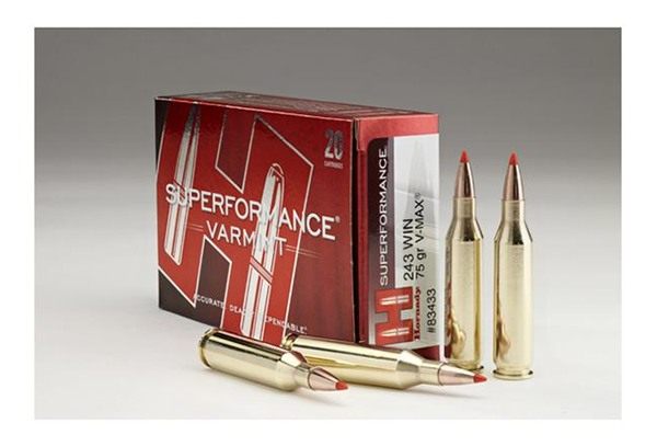 Hornady 83433 Superformance Varmint 243 Win 75gr V Max 20 Per Box/10 Case view 2