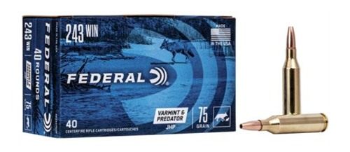 Federal Cartridge American Eagle Varmint Predator Rifle Ammunition .243 Win