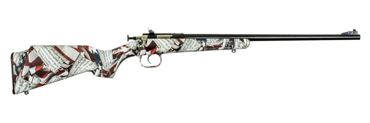 Keystone SPT ARM Crickett KSA2168 Youth 22 LR 1rd 16.12in Blued Barrel Rece