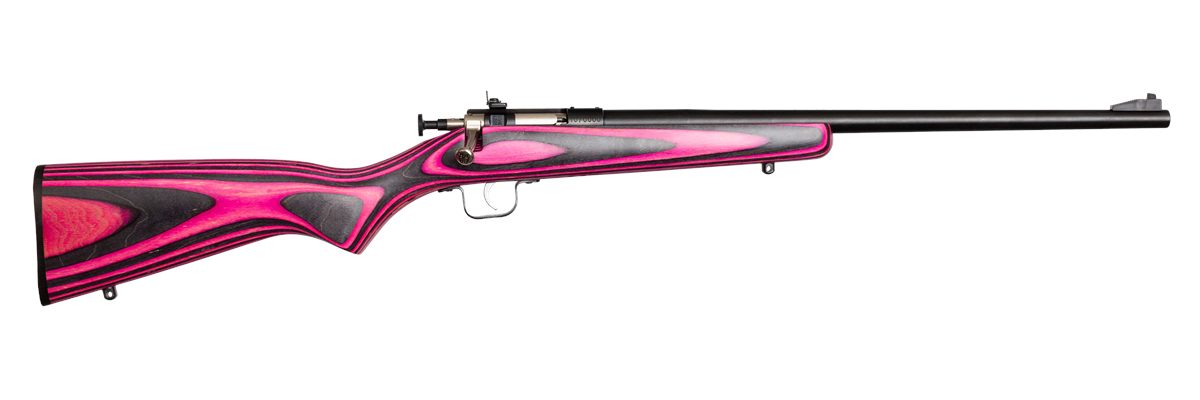 Keystone SPT ARM Crickett KSA2226 Youth 22 LR 1rd 16.12in Stainless Steel B