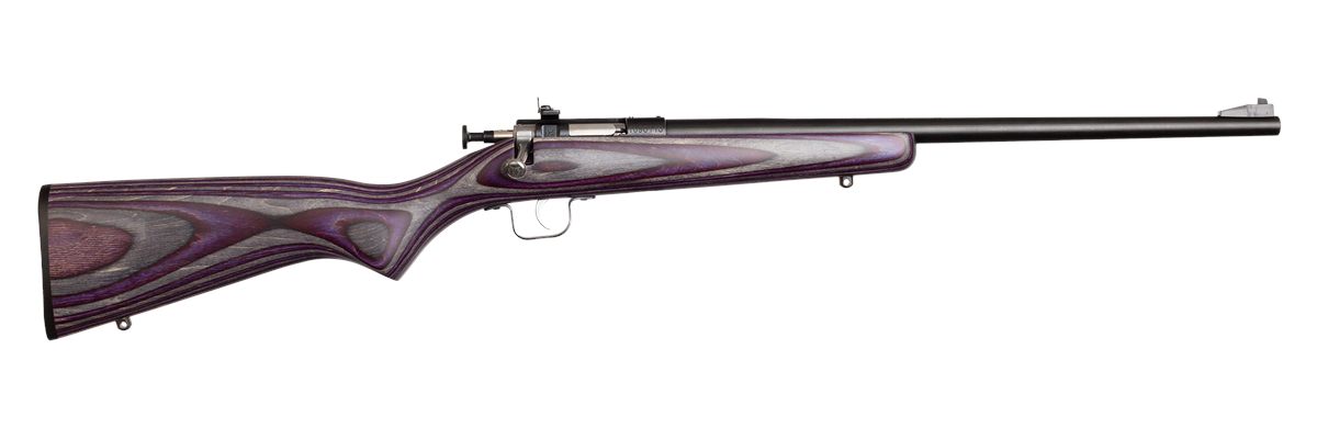 Crickett KSA2227 Youth 22 LR 1rd 16.12in Blued Barrel Receiver, Fixed Front