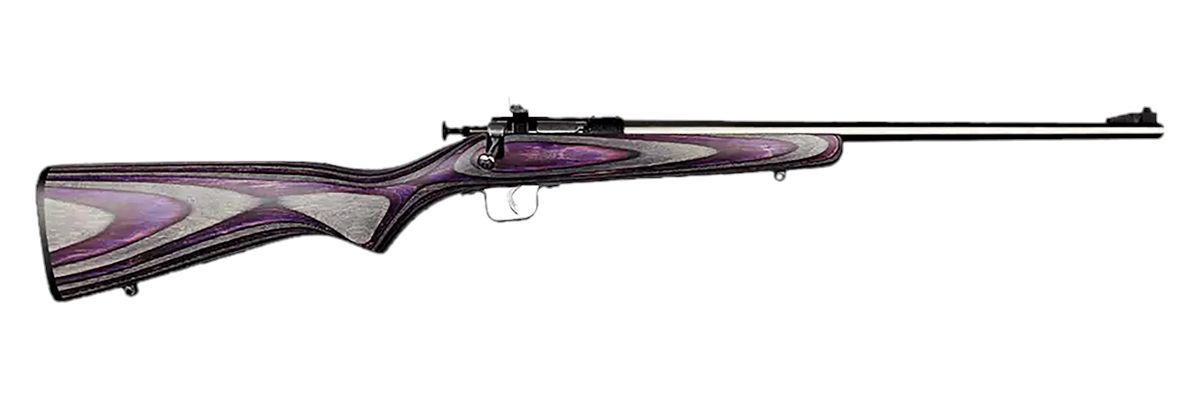 Keystone SPT ARM Crickett KSA2228 Youth 22 LR 1rd 16.12in Stainless Steel B