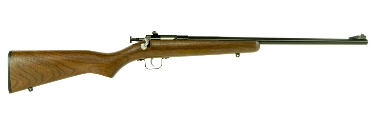 Crickett KSA2238 Youth 22 LR 1rd 16.12in Blued Barrel Receiver, Fixed Front