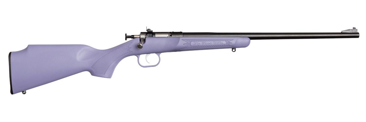 Crickett KSA2306 Youth 22 LR 1rd 16.12in Blued Barrel Receiver, Fixed Front