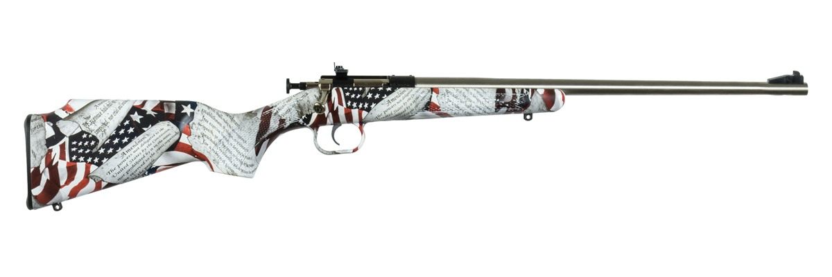 Keystone SPT ARM Crickett KSA3168 Youth 22 LR 1rd 16.12in Stainless Steel B