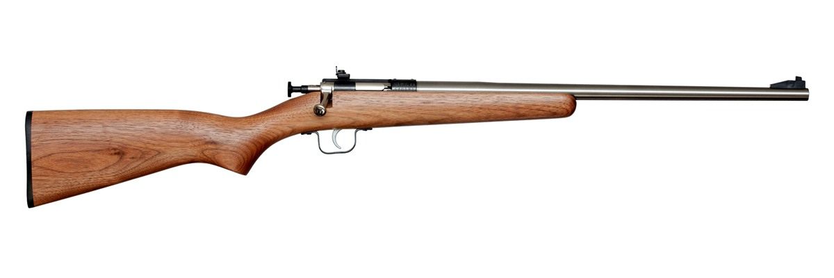 Keystone SPT ARM Crickett KSA3238 Youth 22 LR 1rd 16.12in Stainless Steel B