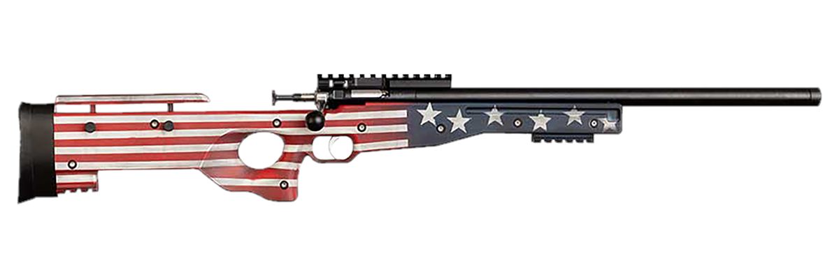 Crickett KSA2150-OG Precision Full Size 22 LR Single Shot 16.10in Blued Thr