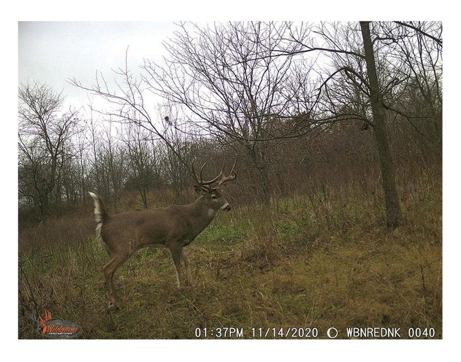 Gsm Wildgame Innovations Wraith Family Friend Sharable Trail Camera 18MP IR view 2