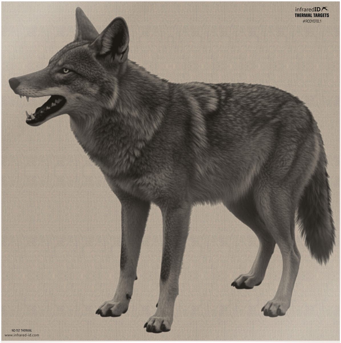 Reshet Graf Infrared-id Rcoyotel1 Therm Coy Targt