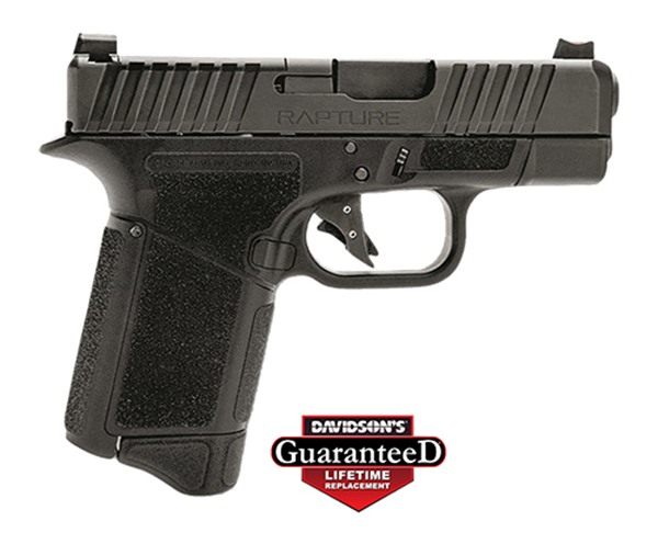 Gforce Arms GF932512 Rapture Sub-Compact 9mm Luger 12+1 3.25in Black Steel view 3