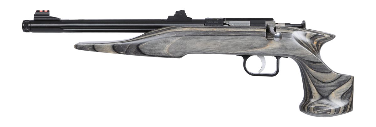 Chipmunk Crickett 41003 Hunter Adult 22 Mag 1rd 9in Threaded Blued Steel Si