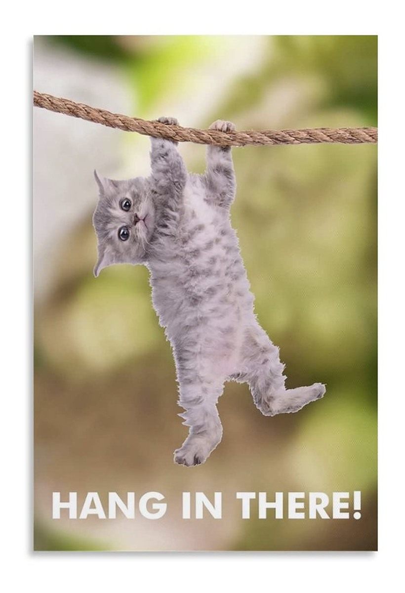 Advance Warrior Solutions Hang in There Cat Retro Motivational for Office T