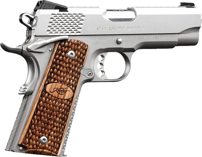 Kimber Mfg.,3200195 Stainless Pro Raptor II 45ACP 8+1 4in Steel Slide Satin view 2