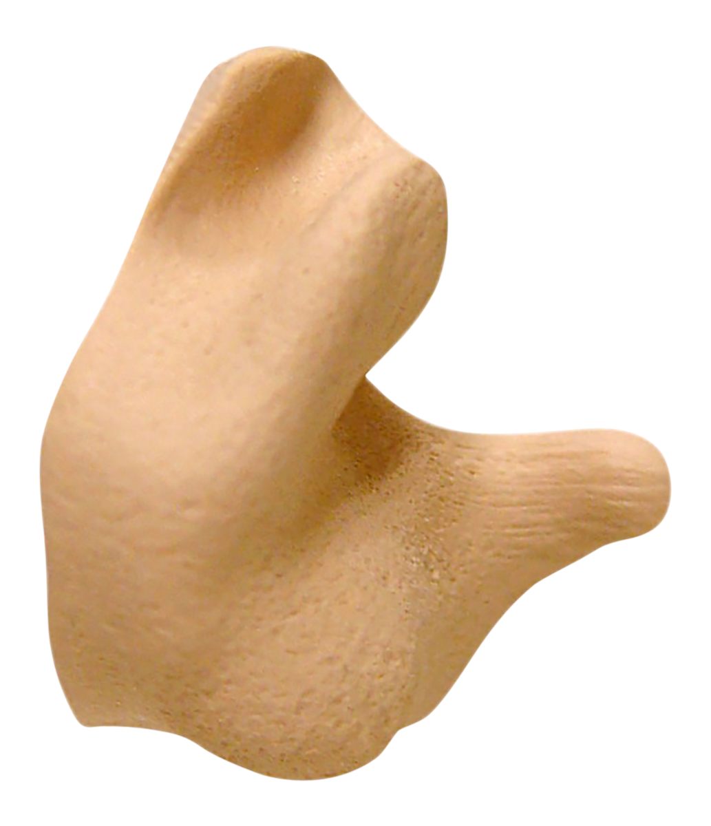 Radians CEP002-T CEP001-T Tan Custom Molded Earplugs view 2