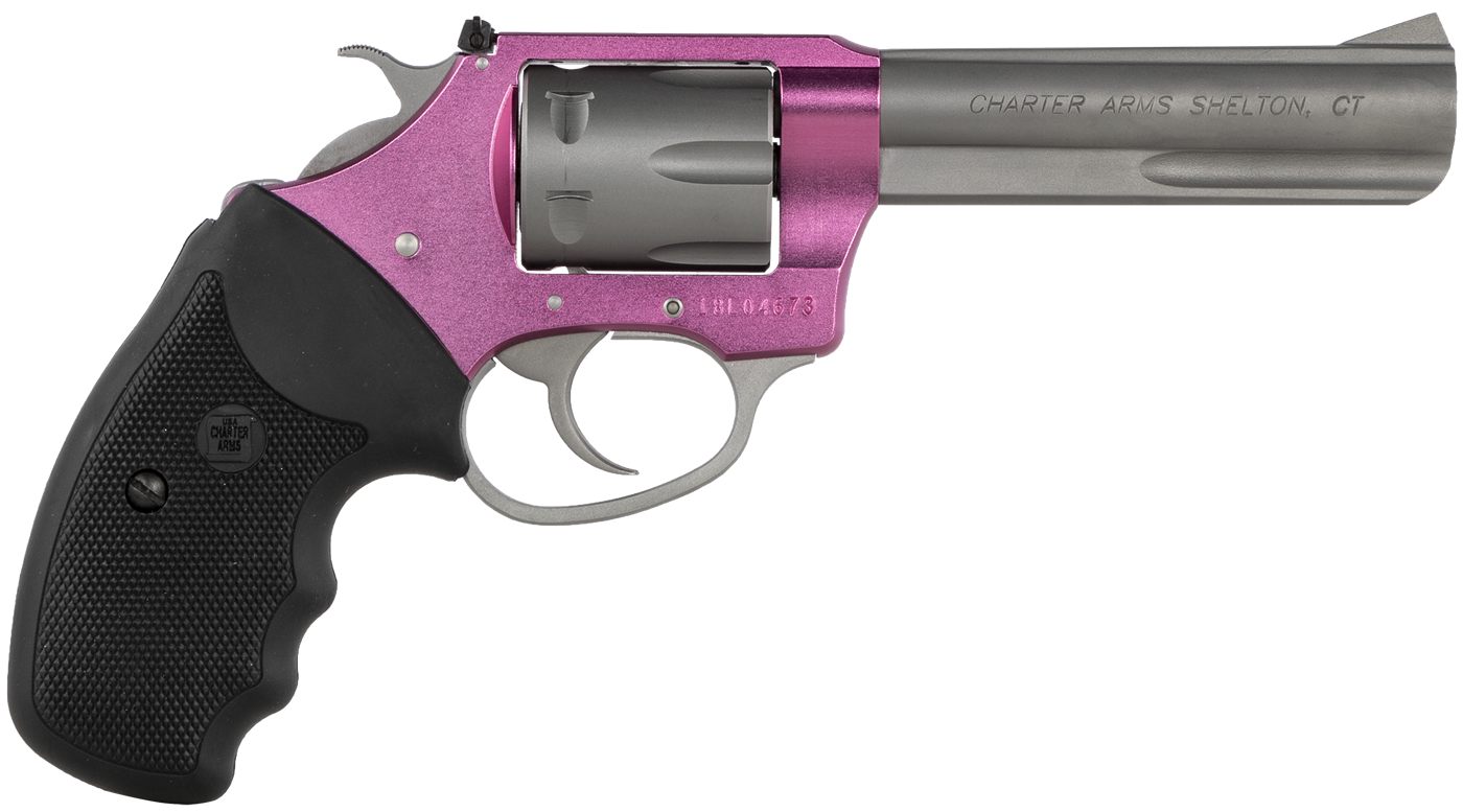 Charter Arms 52232 Pathfinder Lite 22 LR 8 Shot, 4.20in Matte Stainless Ste