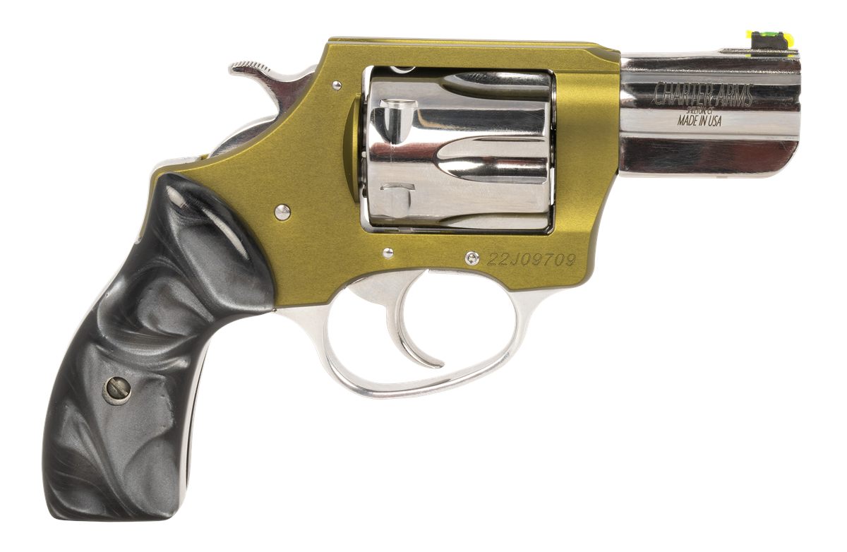 Charter Arms 53624 Undercover II Large 38 Special, 6 Shot 2.20in High Polis