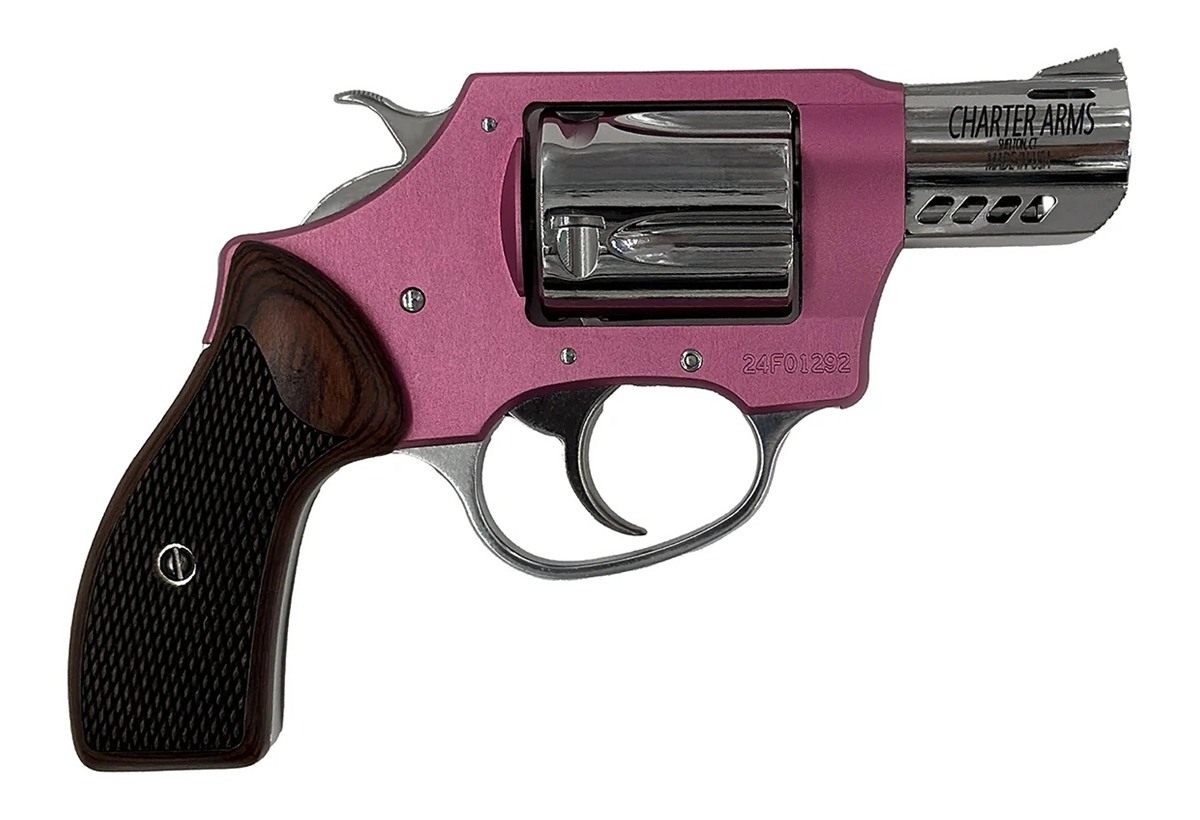 Charter Arms 53805 Coyote 380 ACP 5 Shot 2in High Polished Ported Barrel, C view 2