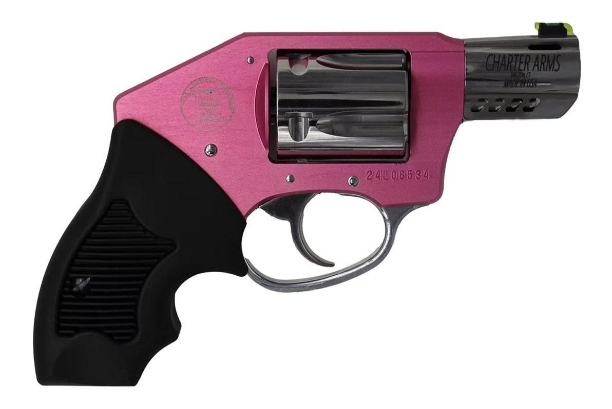 Charter Arms 53812 Off Duty Coyote 380 ACP 5rd 2in Stainless Ported Barrel view 2
