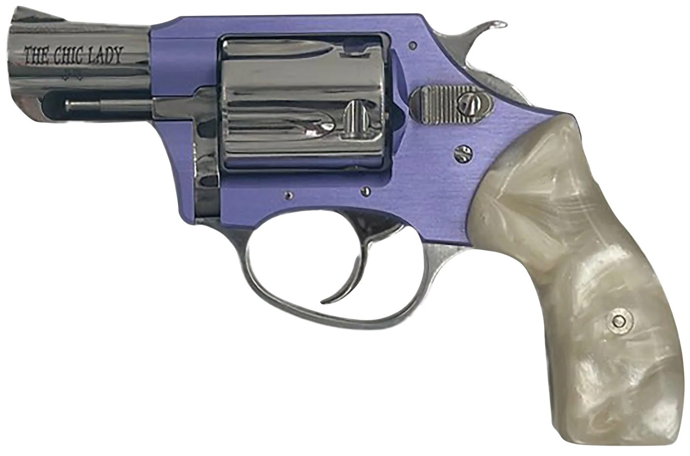 Charter Arms 53849 Undercover Lite Chic Lady Small 38 Special 5rd 2in Stain