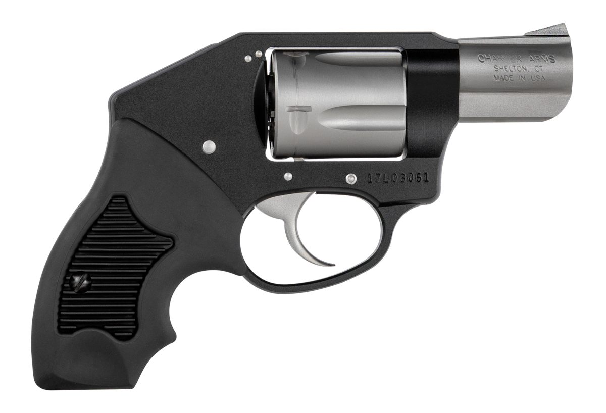 Charter Arms 53911 Off Duty Compact 38 Special, 5 Shot 2in Matte Stainless