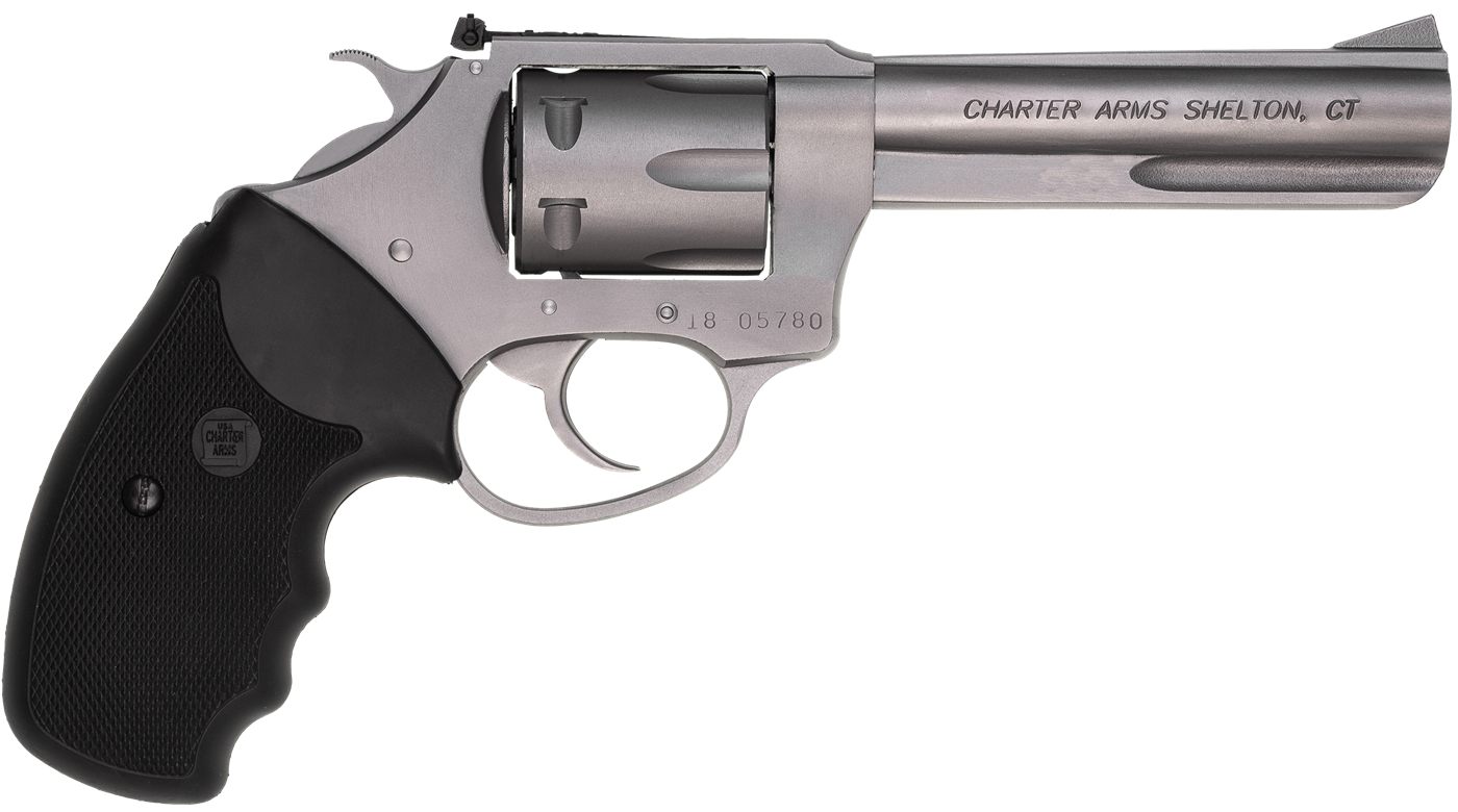 Charter Arms 72242 Pathfinder Target 22 LR, 8 Shot 4.20in Matte Stainless S