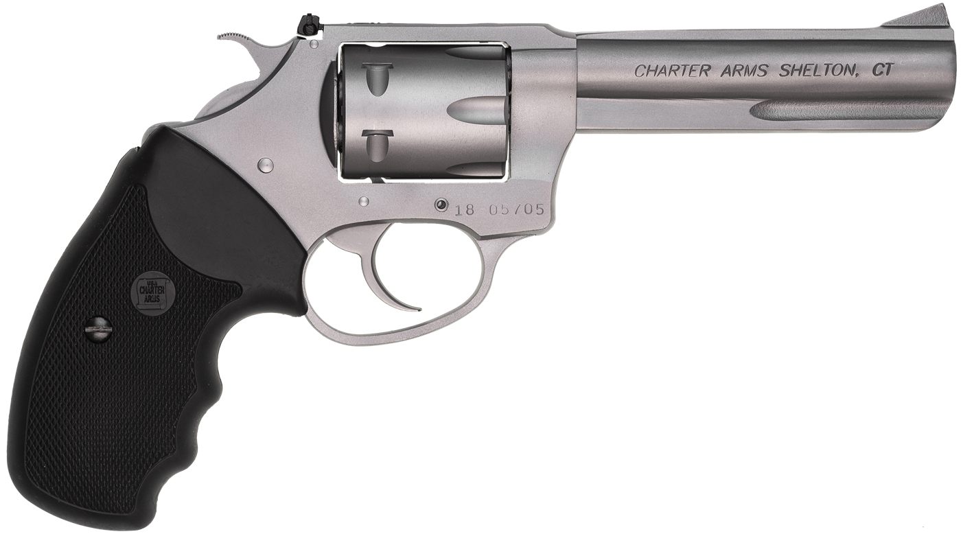 Charter Arms 72342 Pathfinder Target 22 Mag, 8rd 4.20in Matte Stainless Ste