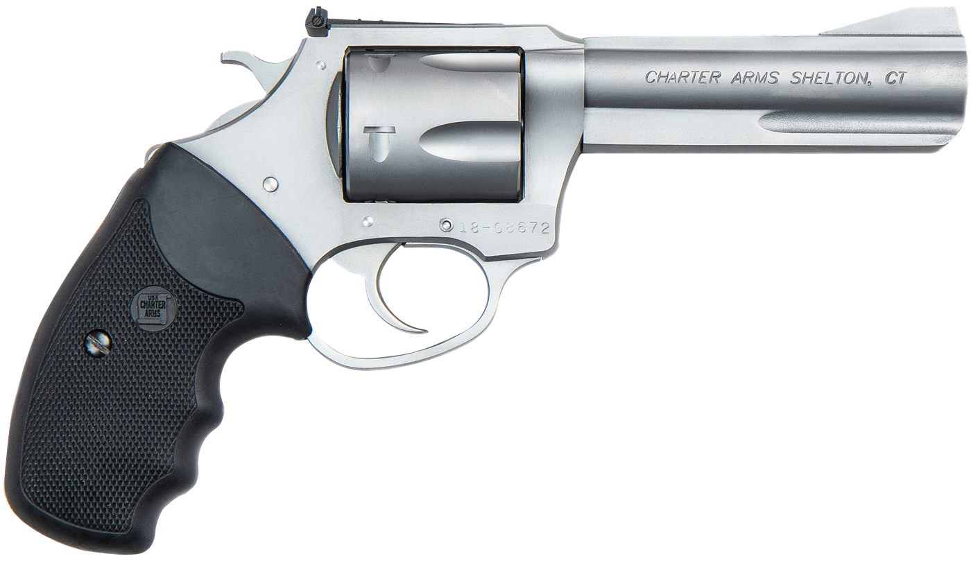 Charter Arms 73542 Mag Pug Target Large 357 5 Shot 4.20in Matte Stainless S