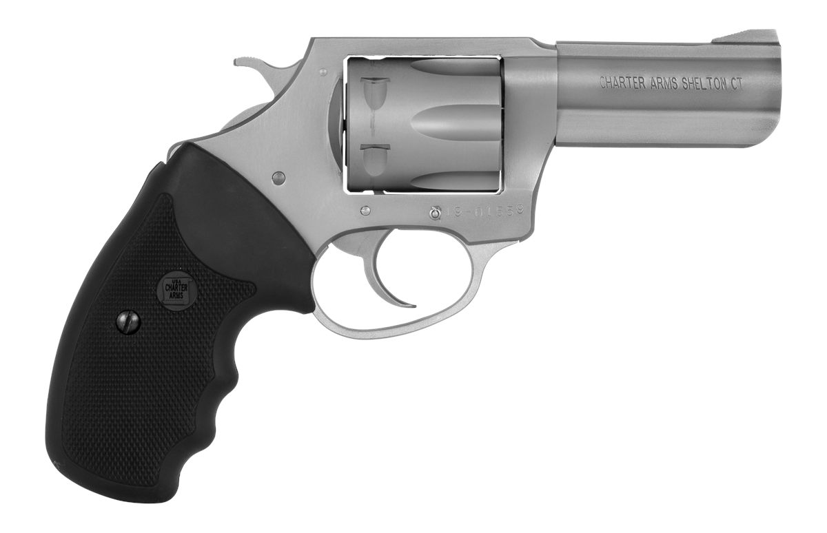Charter Arms 73802 Pitbull Large 380 ACP 6 Shot 3in Stainless Steel Barrel