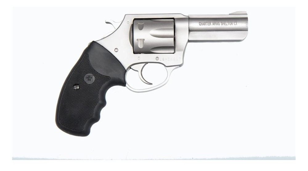Charter Arms 73802 Pitbull Large 380 ACP 6 Shot 3in Stainless Steel Barrel view 3