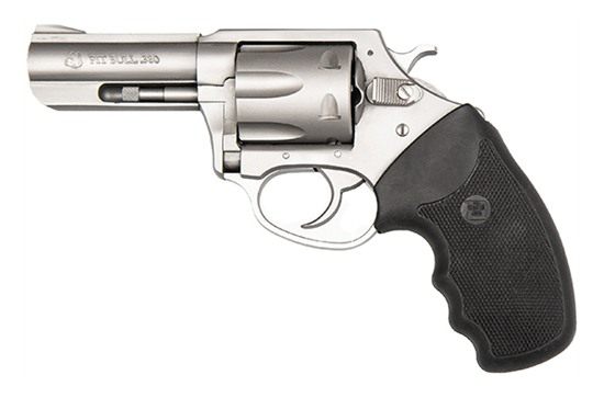 Charter Arms 73802 Pitbull Large 380 ACP 6 Shot 3in Stainless Steel Barrel view 4