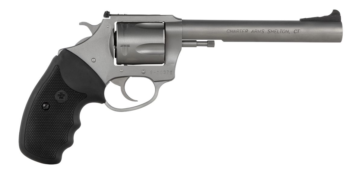 Charter Arms 74460 Bulldog Target Large 44 Special, 5 Shot 6in Matte Stainl