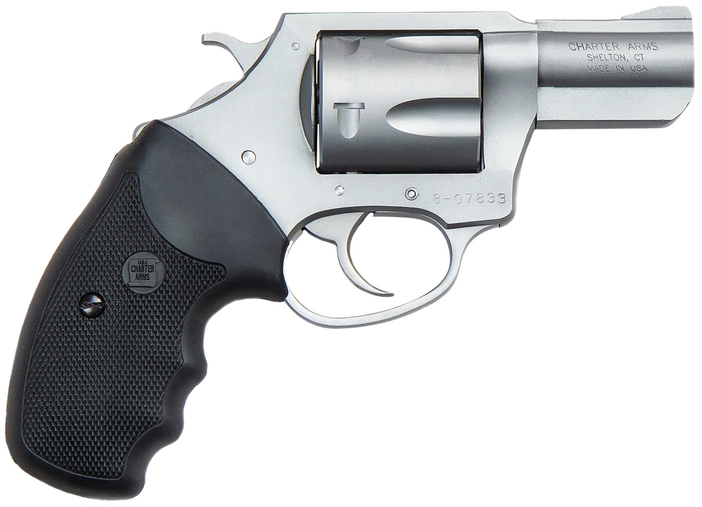 Charter Arms 79920 Pitbull Large 9mm Luger, 5 Shot 2.20in Matte Stainless S