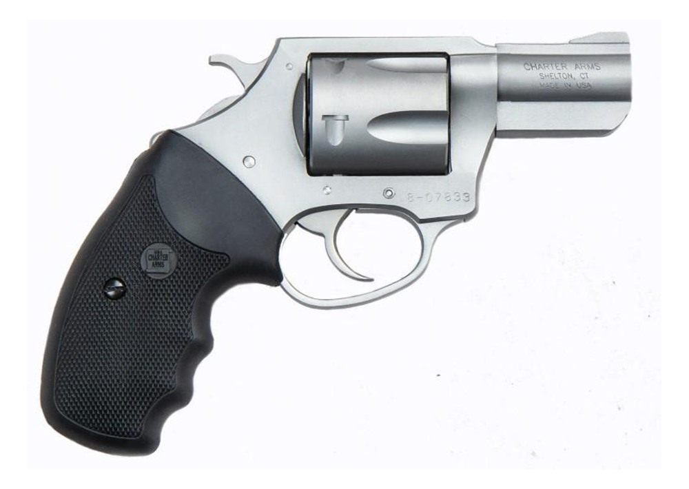 Charter Arms 79920 Pitbull Large 9mm Luger, 5 Shot 2.20in Matte Stainless S view 3