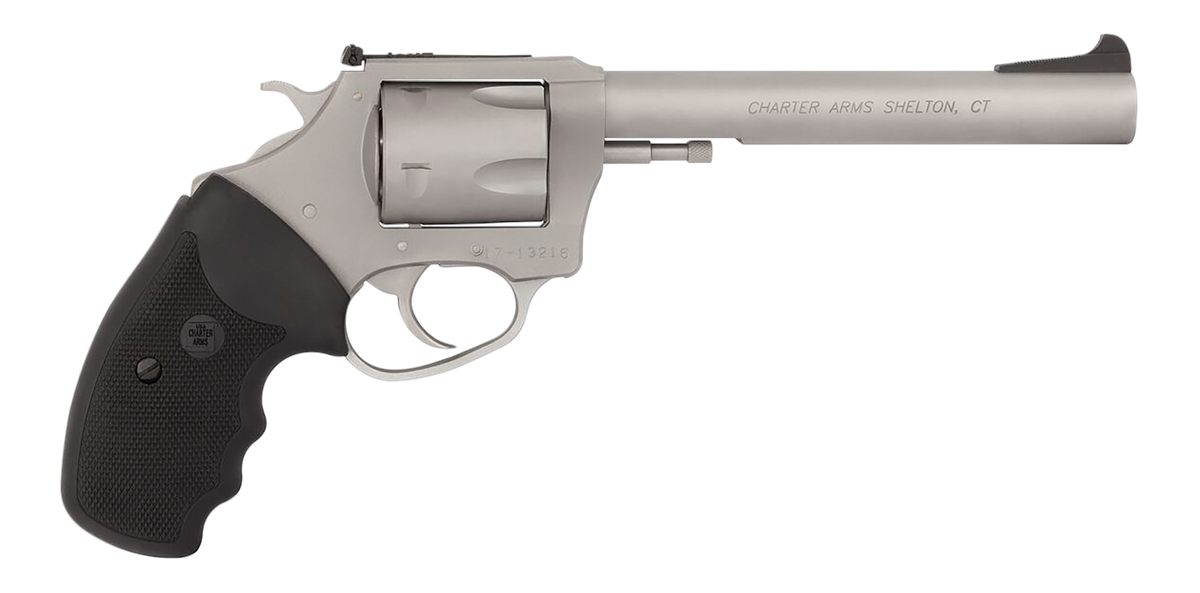 Charter Arms 79960 Pitbull Large 9mm Luger, 5 Shot 6in Matte Stainless Stee