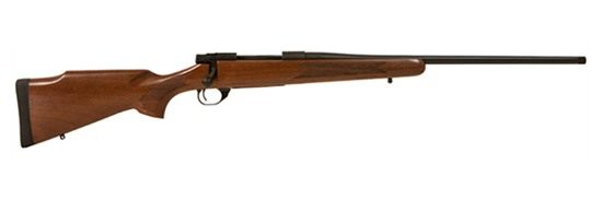 Howa Lsi Mini Action Wal Hunter 223rem 20