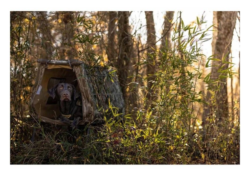 Higdon Outdoors Invisilab Dog Blind Mossy Oak Original Bottomland view 6