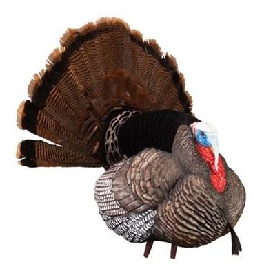 Higdon Outdoors Apex Strutter Hard Body Turkey