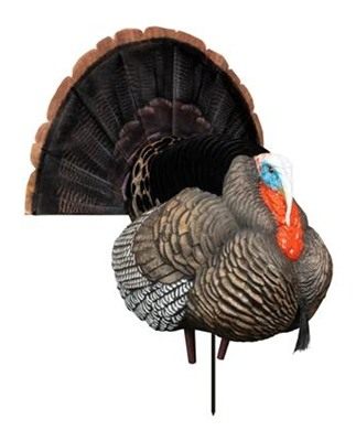 Higdon Outdoors Apex Strutter Hard Body Turkey view 3