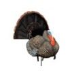 Higdon Outdoors Apex Strutter Hard Body Turkey view 5