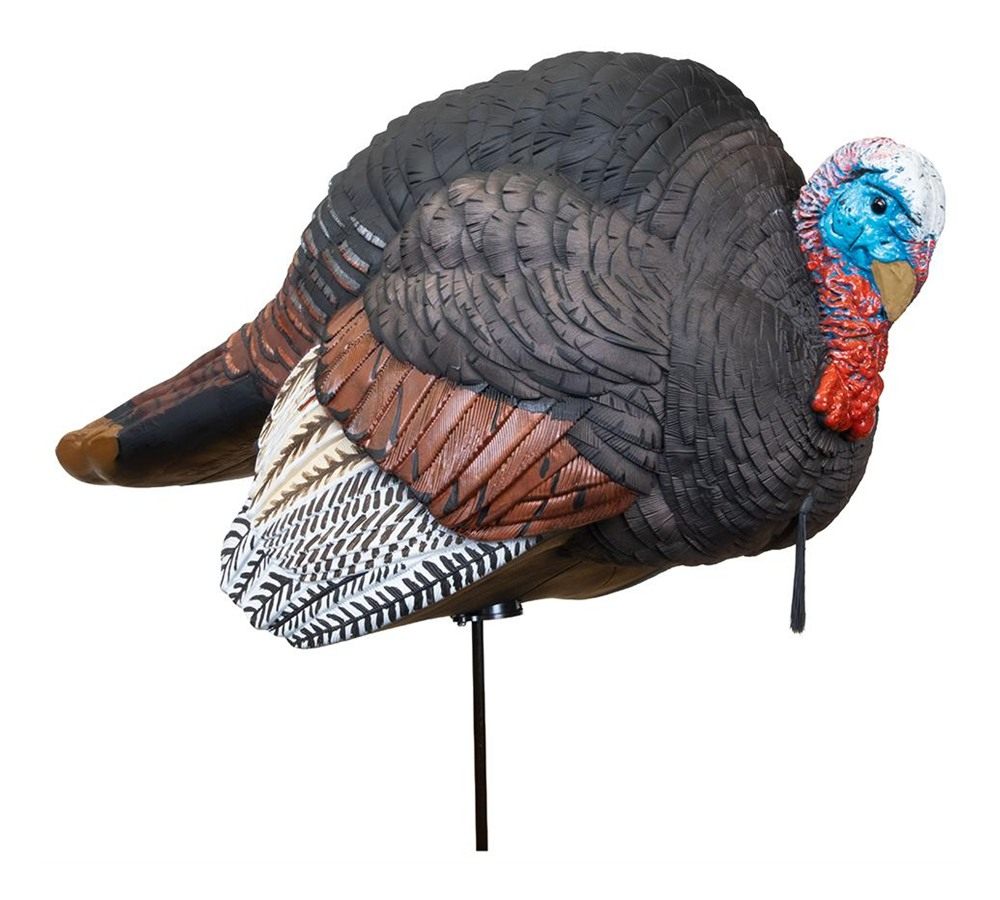 Higdon Outdoors Hard Body Breeding Jake Turkey Decoy