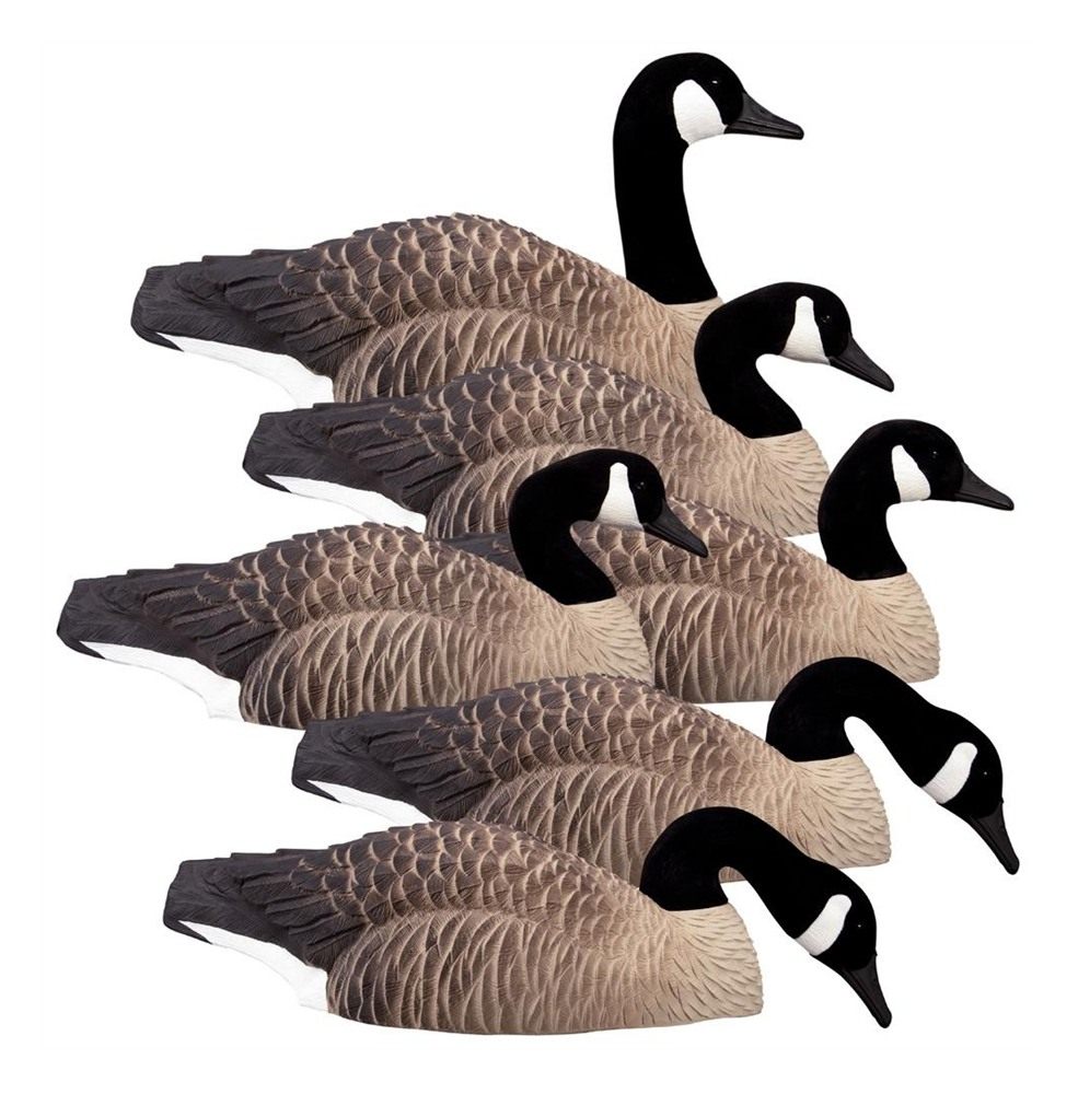 Higdon Outdoors Magnum Half Shell Canada 6pk
