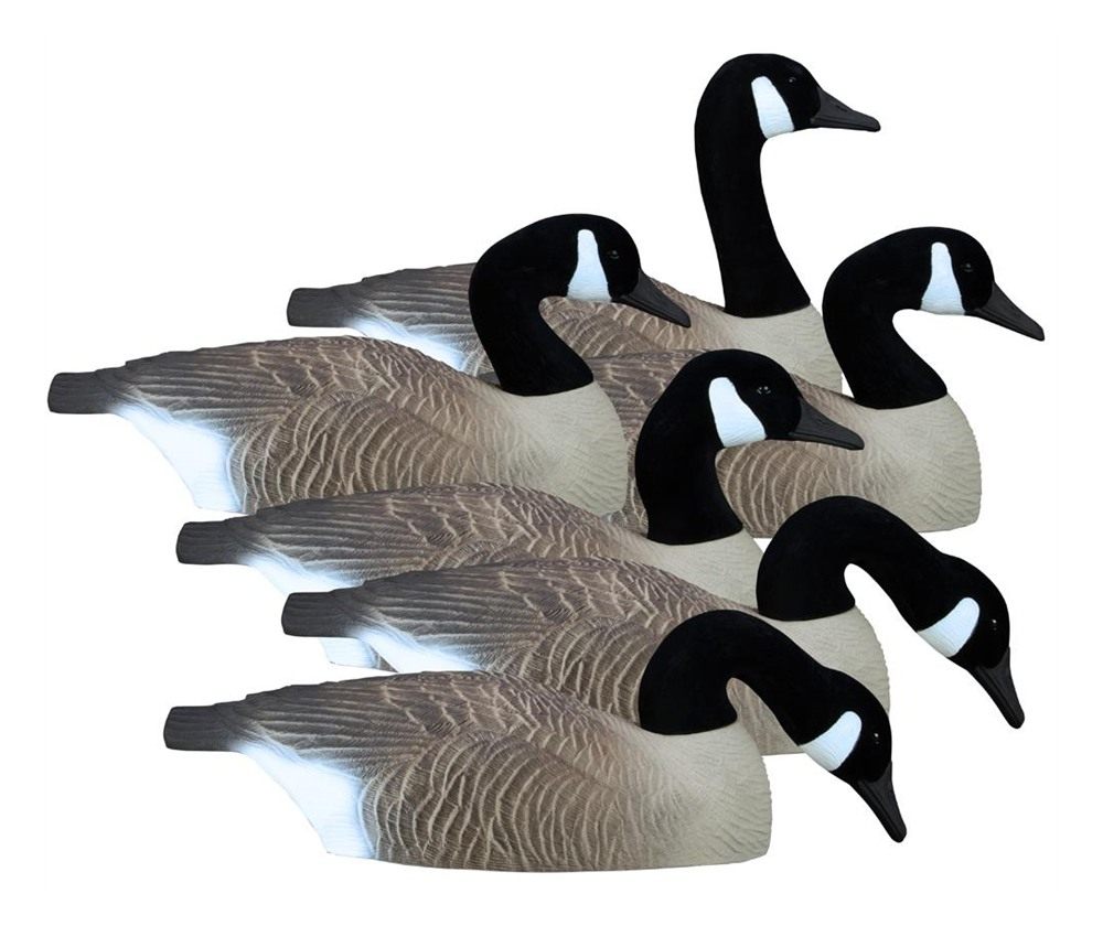 Higdon Outdoors Full Size Half Shell Canada 6pk