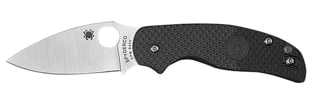Spyderco C123PBK Sage 5 Lightweight Alzheimer's 3in Folding Plain Satin CPM