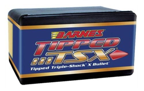 Barnes Bullets 450 CAL 250GR TTSX BT 20ct BOX