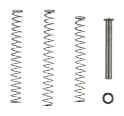 TRUE PREC RECOIL SPRNG KIT P365 3.1"