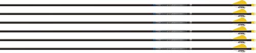 Easton Arrow Sonic 6.0 300 W/2in Bully Vanes 6-Pack