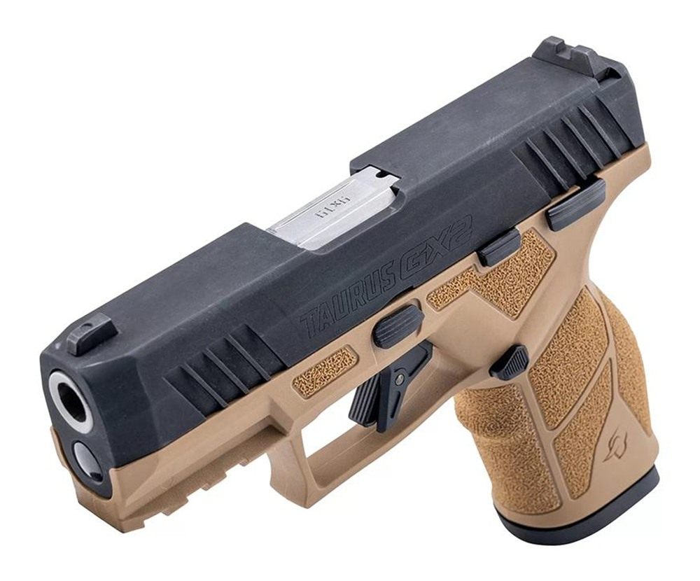 Taurus 1-GX2931T-10 9mm Luger 10+1 3.37in Matte Stainless Steel Barrel, Bla view 4