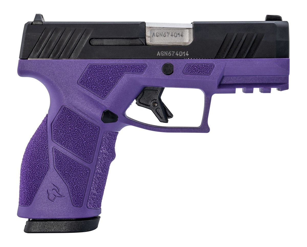 Taurus 1-GX2931DP 9mm Luger 13+1 3.37in Matte Stainless Steel Barrel, Black