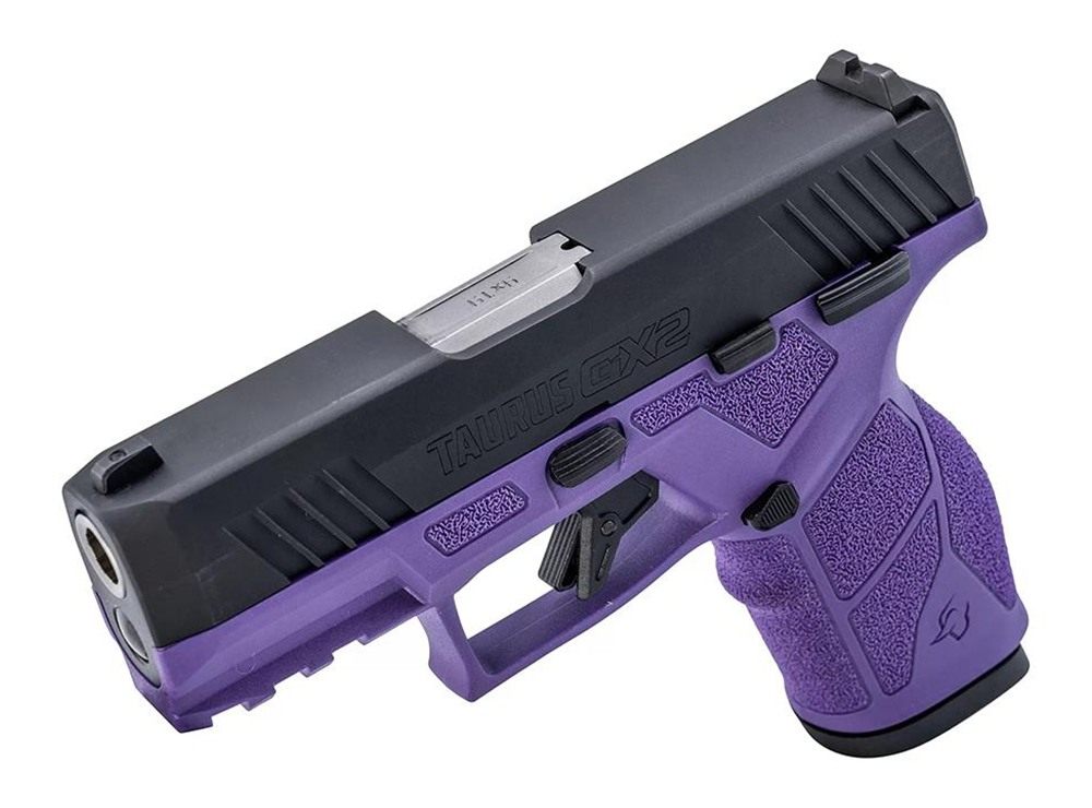 Taurus 1-GX2931DP 9mm Luger 13+1 3.37in Matte Stainless Steel Barrel, Black view 2