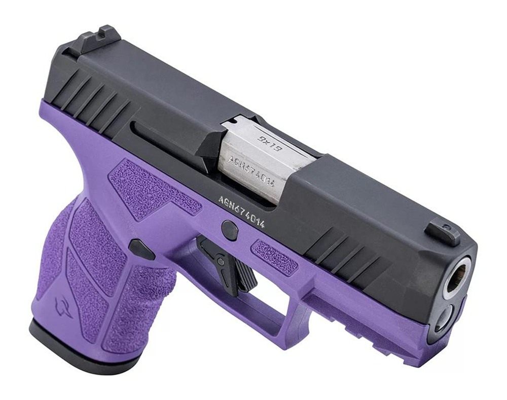 Taurus 1-GX2931DP 9mm Luger 13+1 3.37in Matte Stainless Steel Barrel, Black view 3
